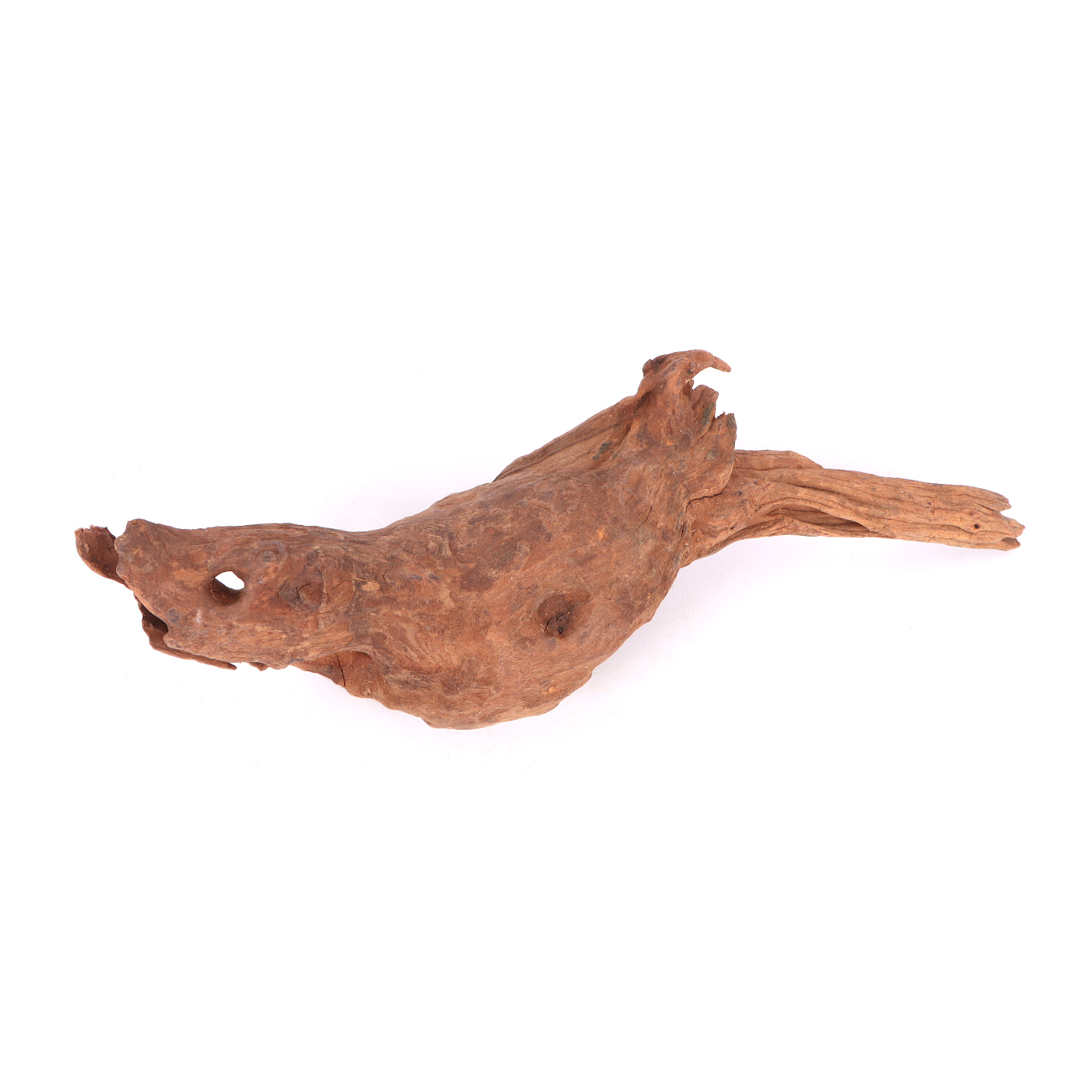 Tanuki-Holz