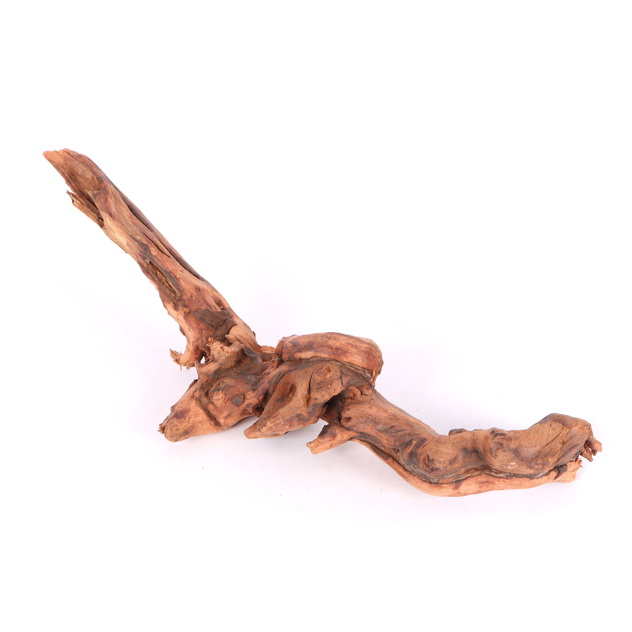 Tanuki-Holz
