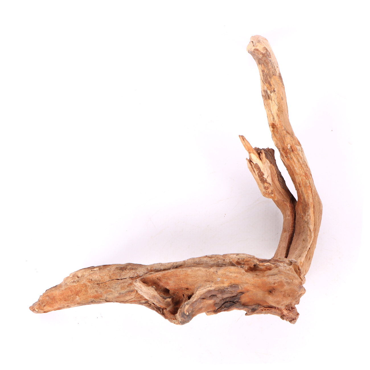 Tanuki-Holz