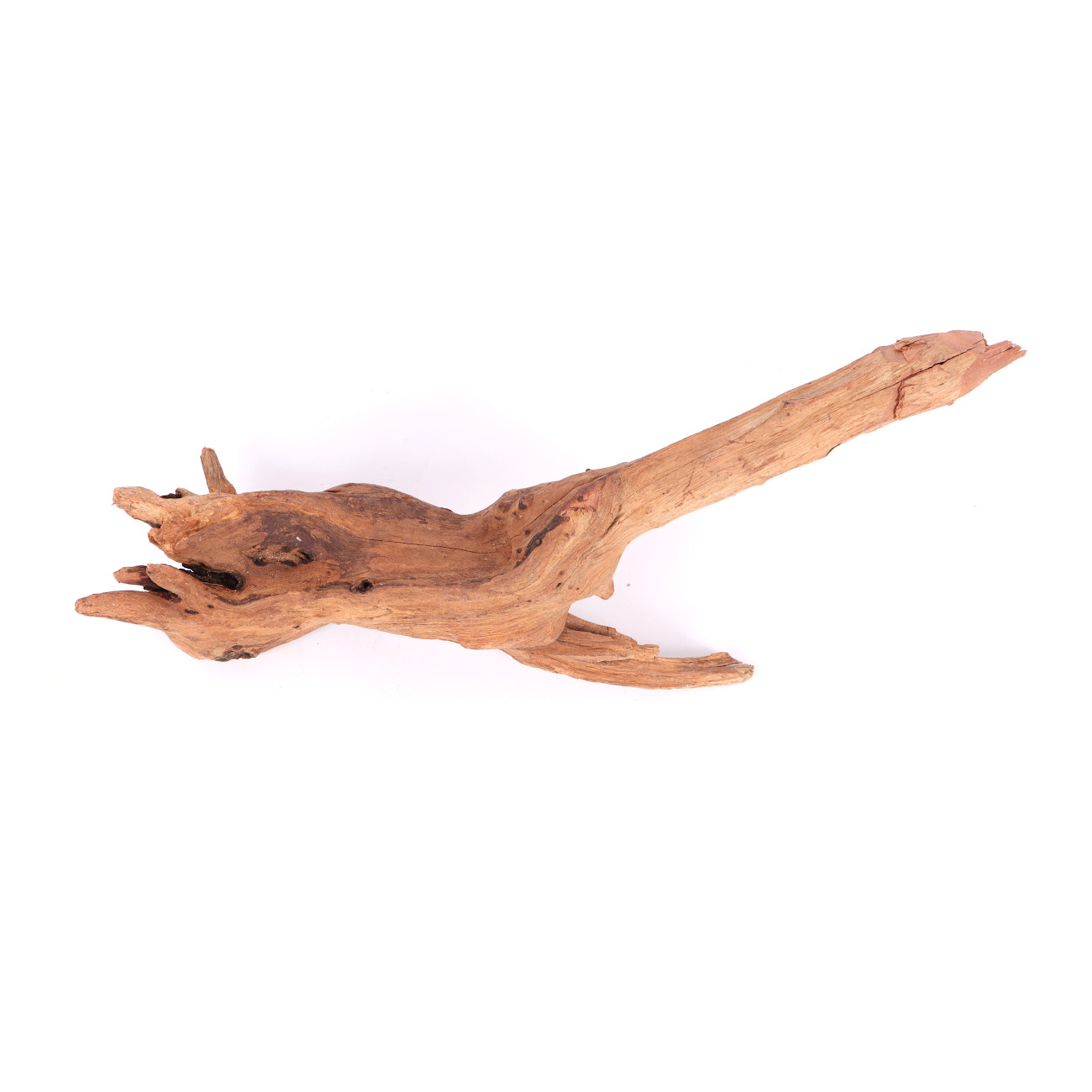 Tanuki-Holz