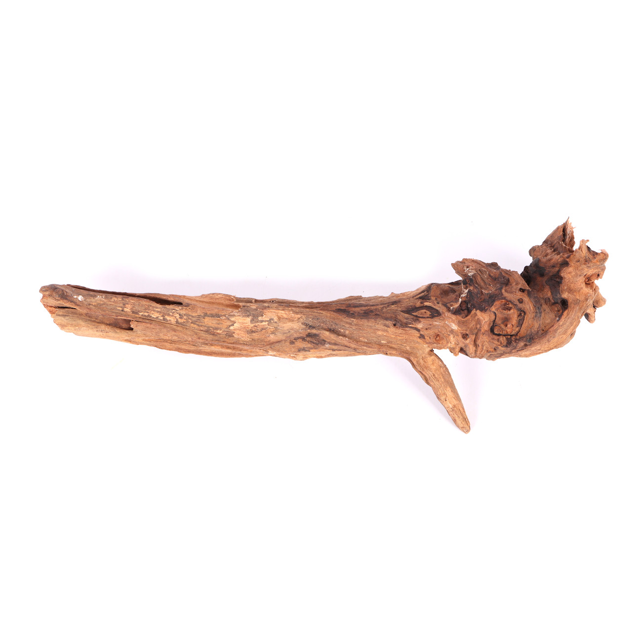 Tanuki-Holz