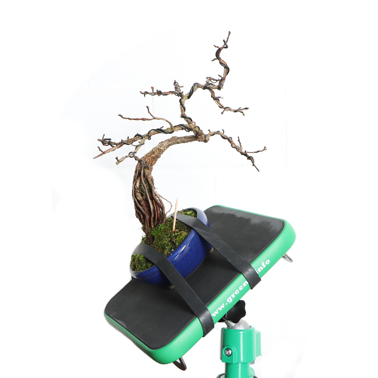 Bonsai-Arbeitstisch Green-T mini V