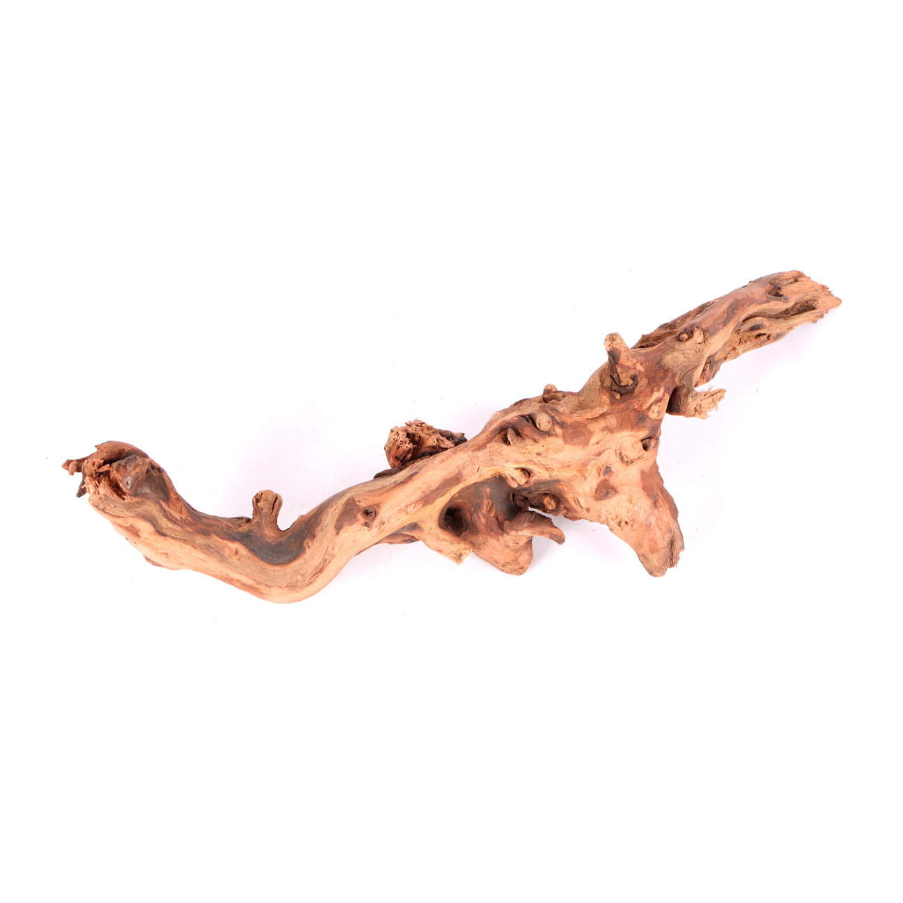 Tanuki-Holz