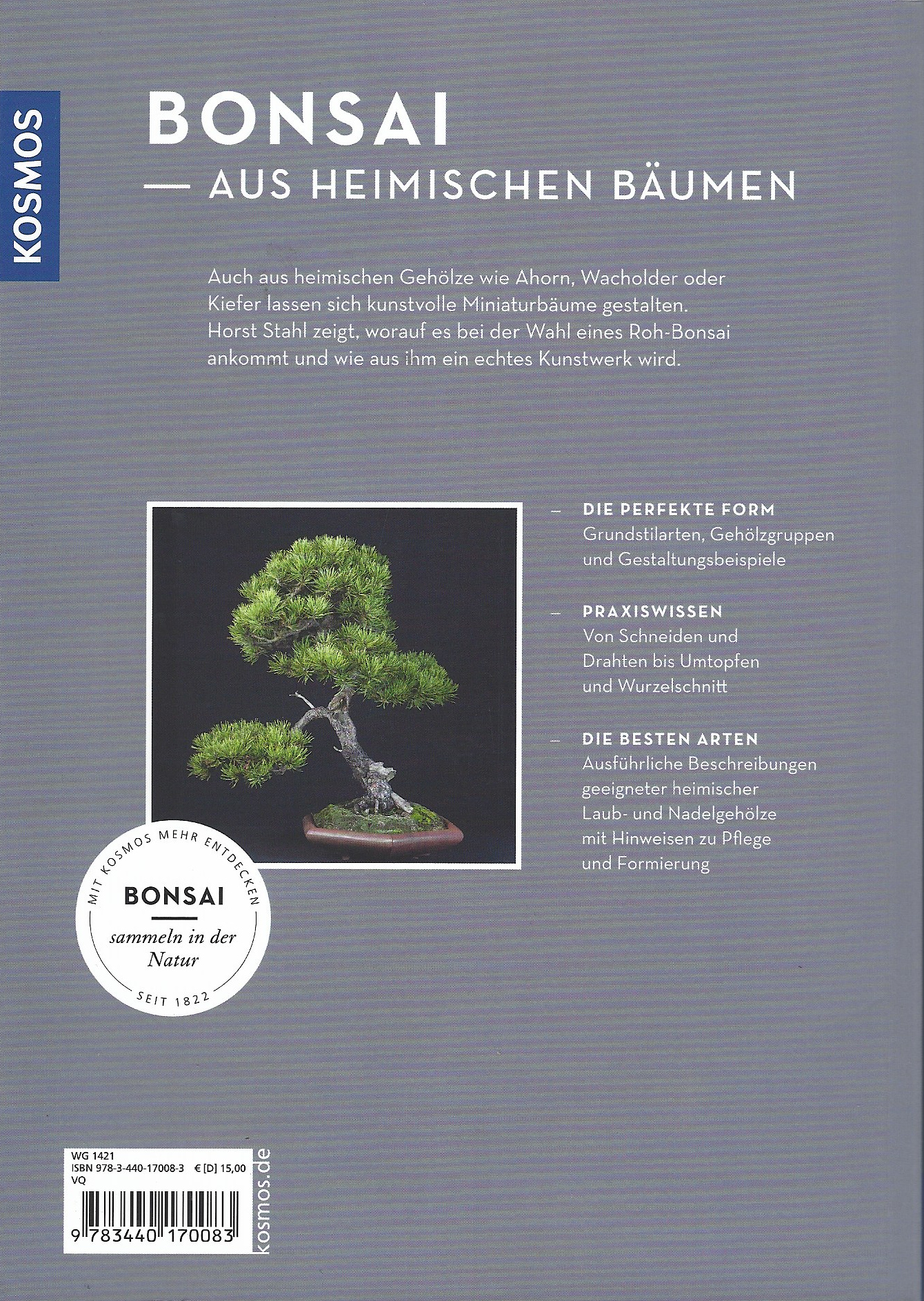 Bonsai selbst gezogen