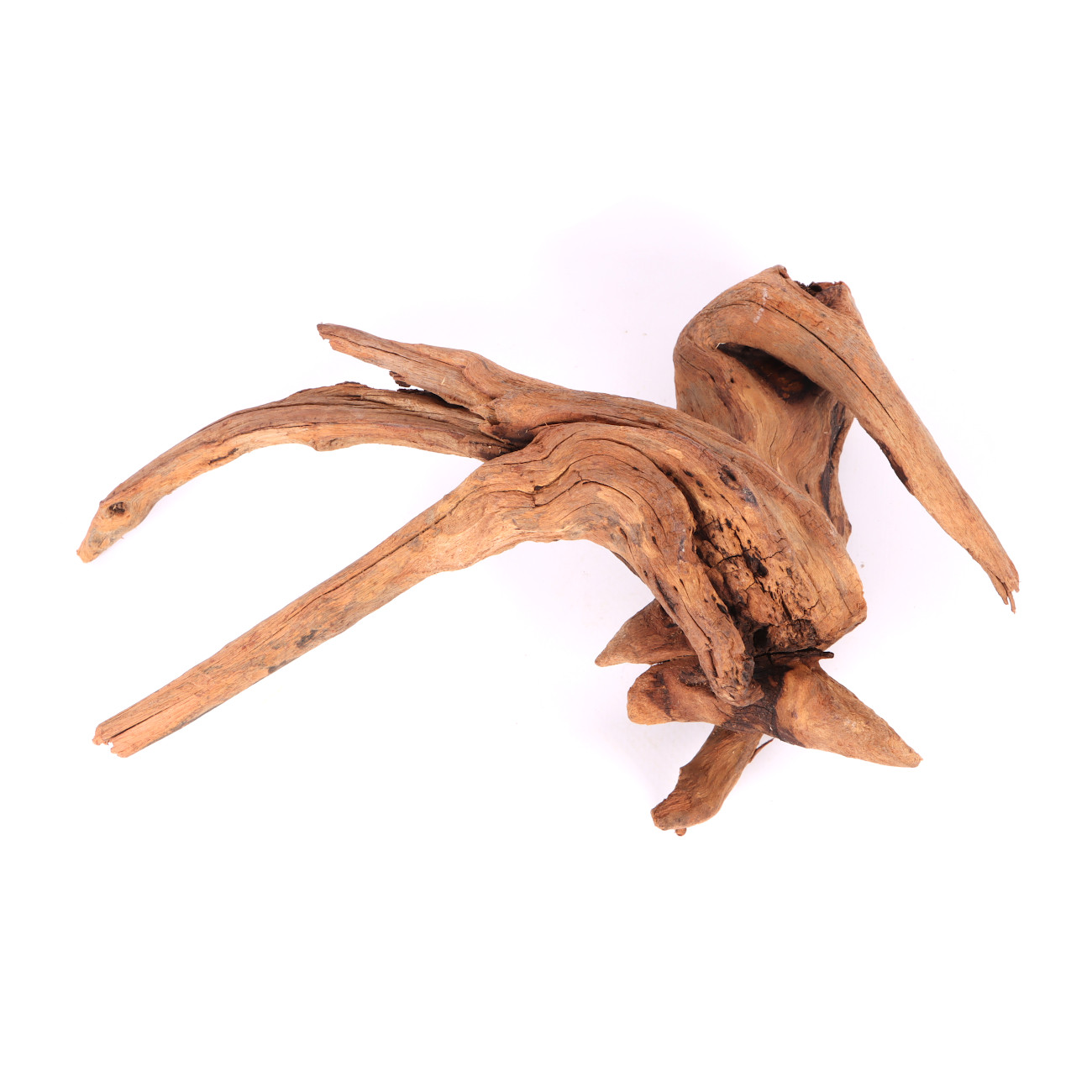 Tanuki-Holz