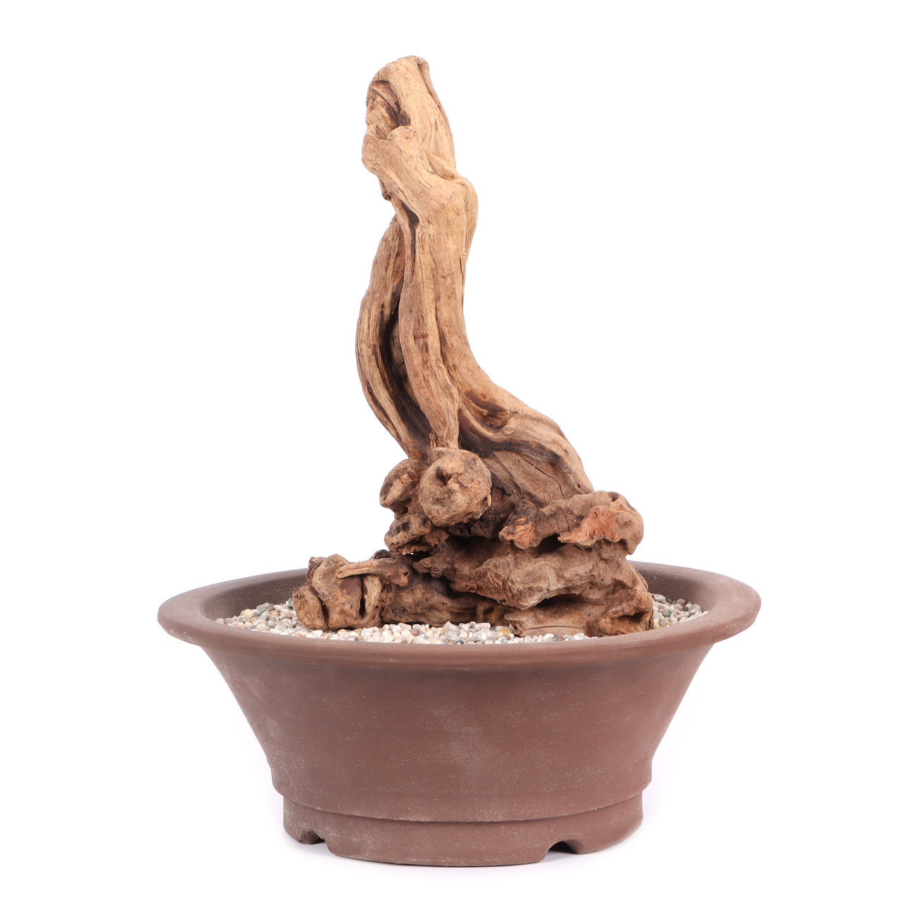 Tanuki-Holz