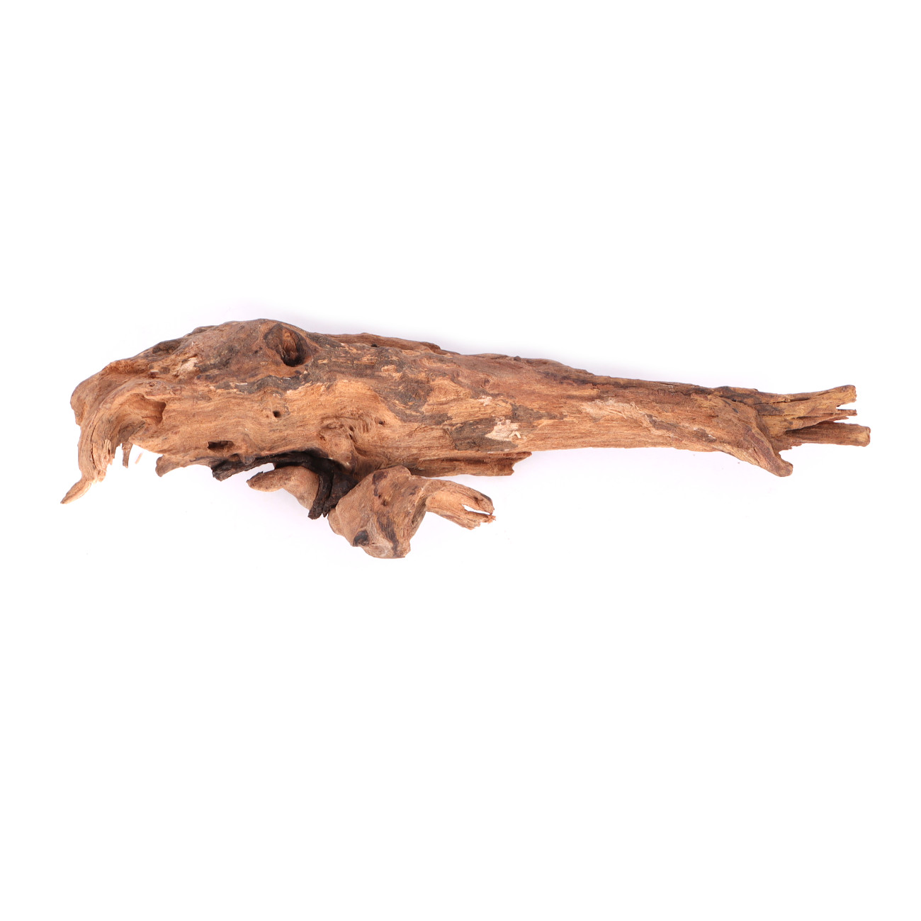 Tanuki-Holz