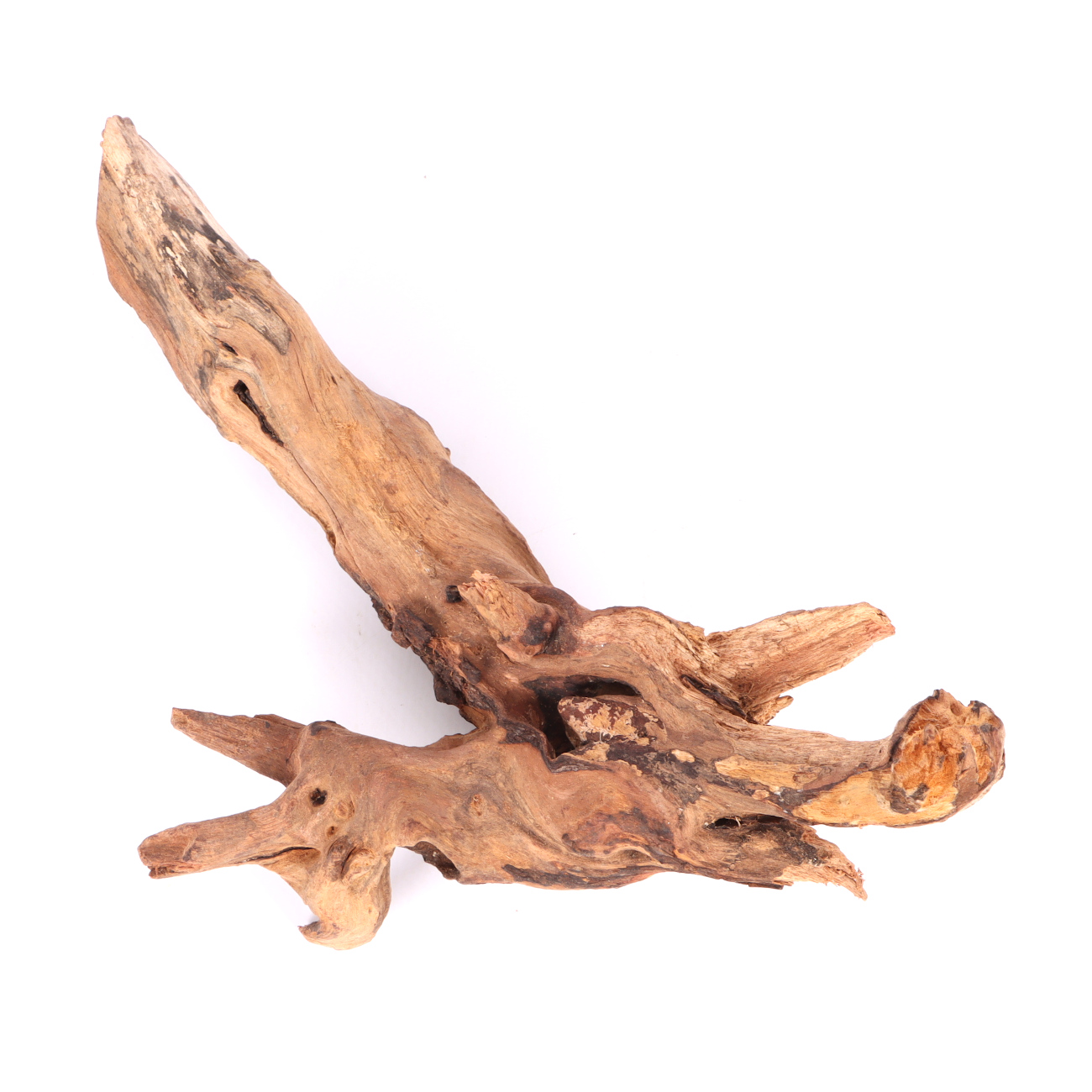 Tanuki-Holz