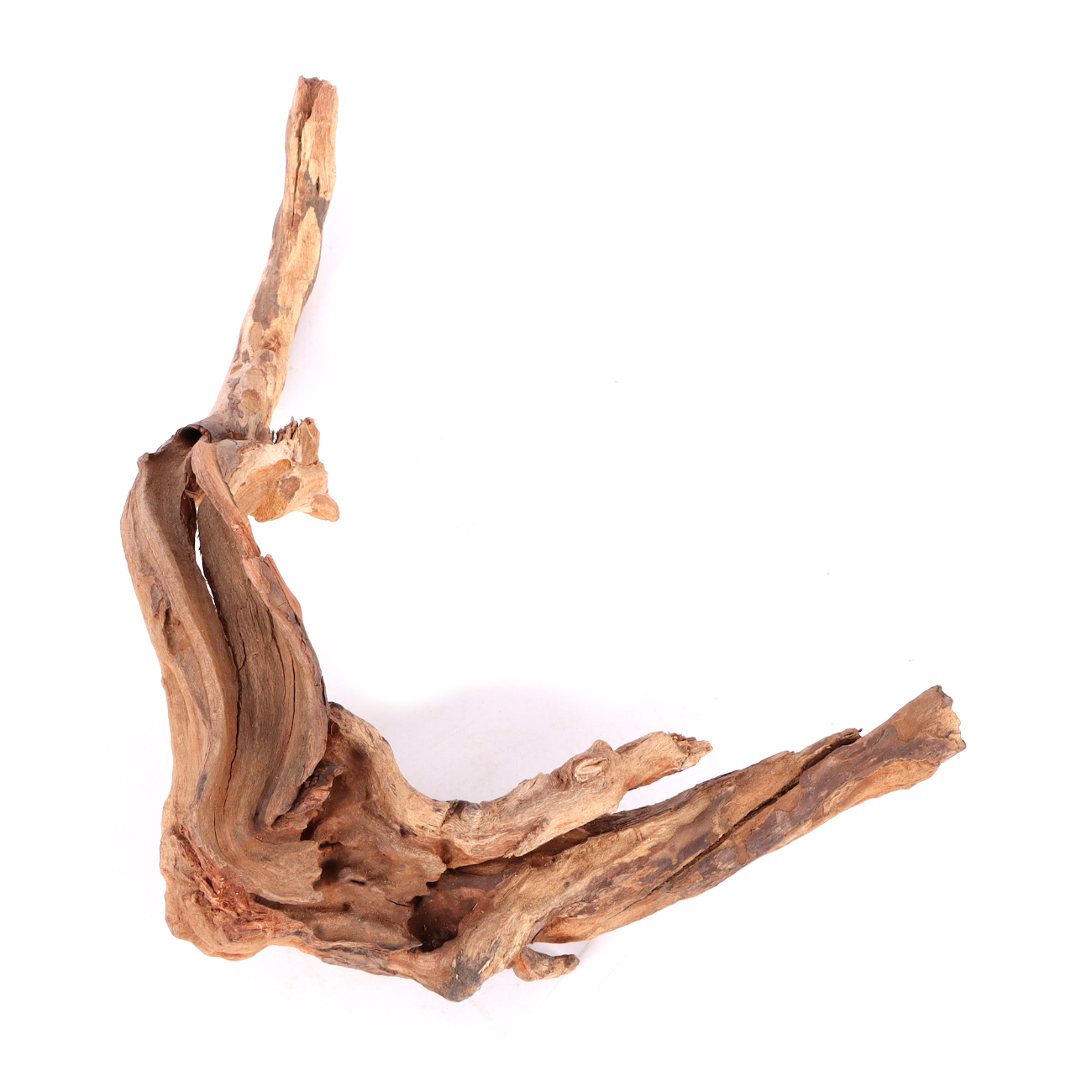 Tanuki-Holz