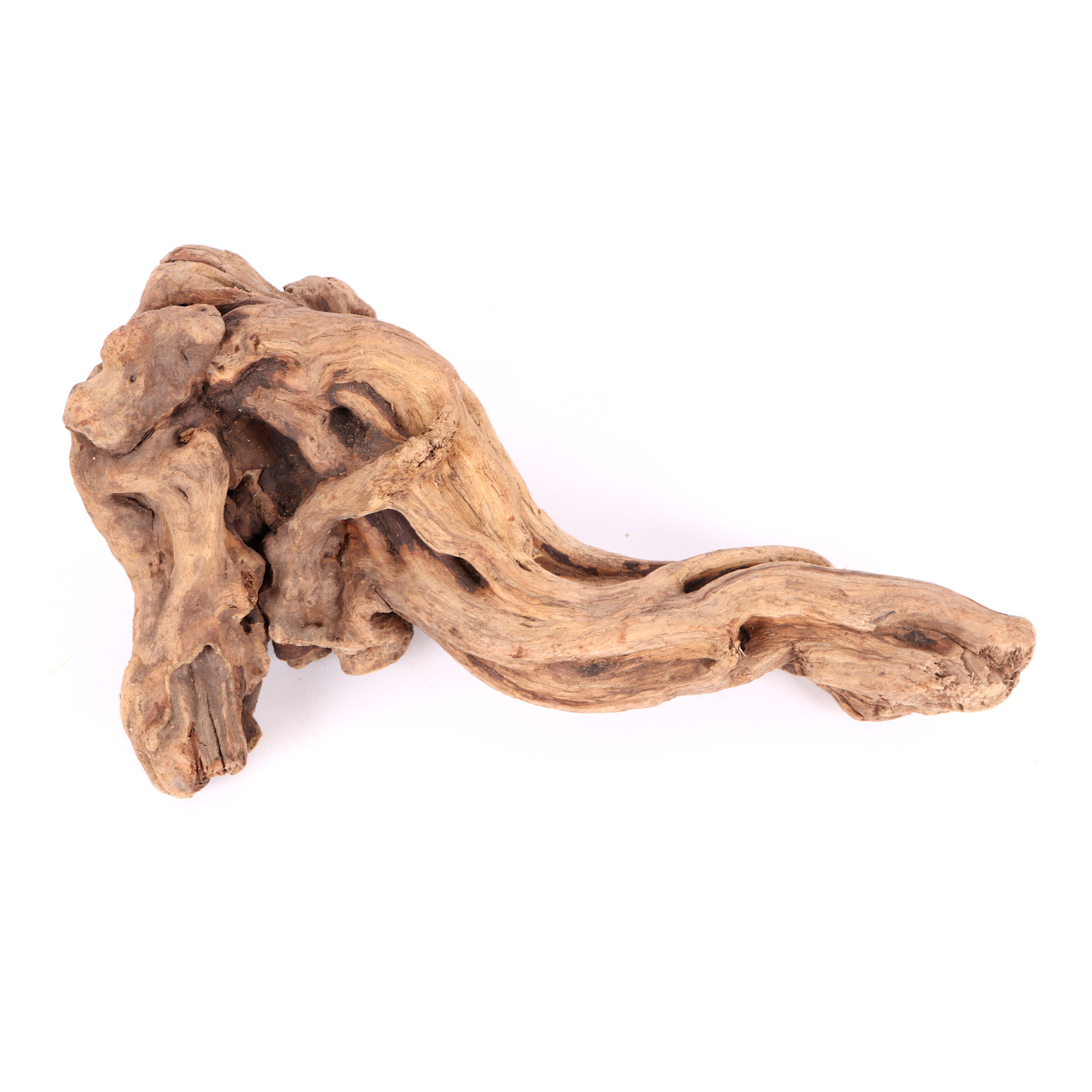 Tanuki-Holz