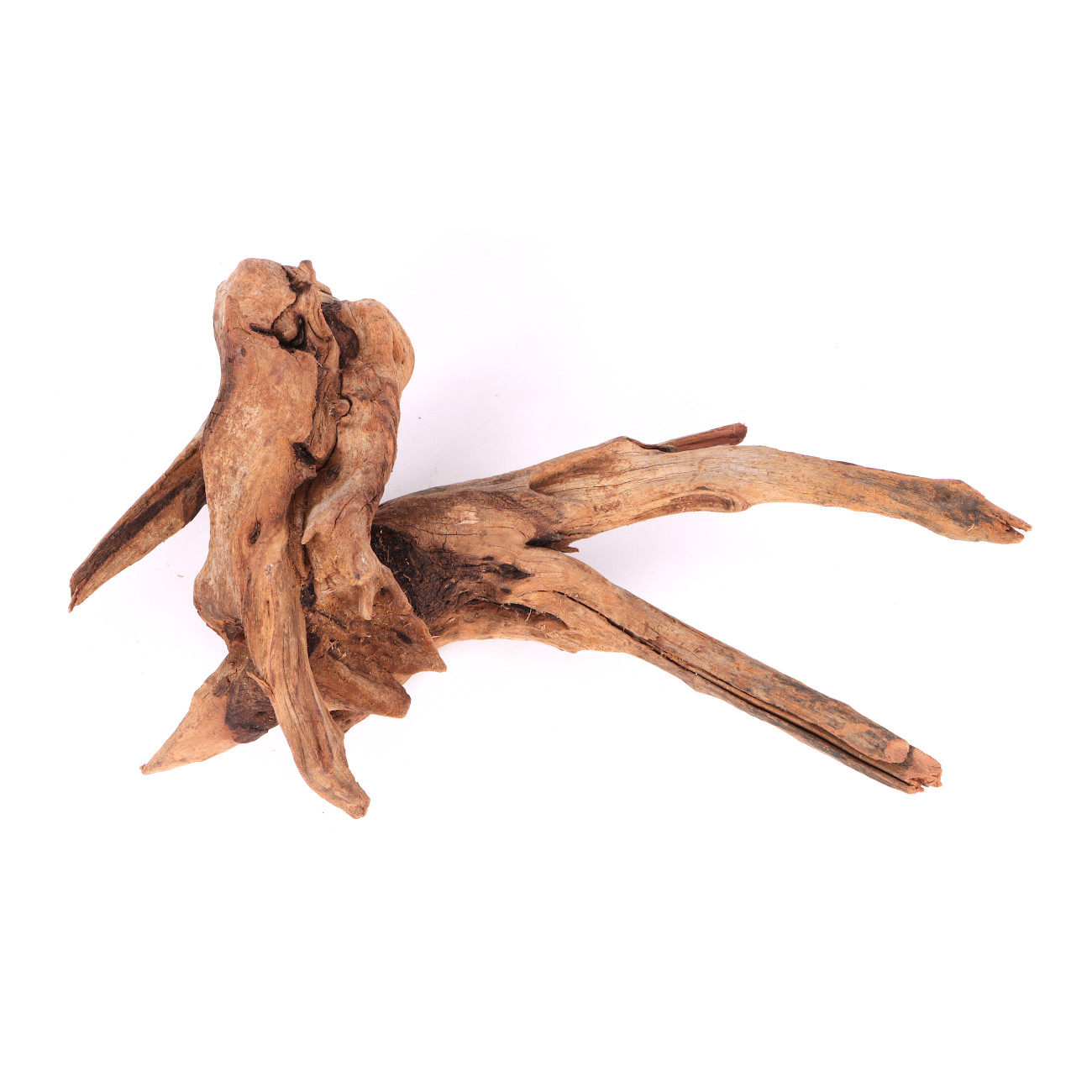 Tanuki-Holz