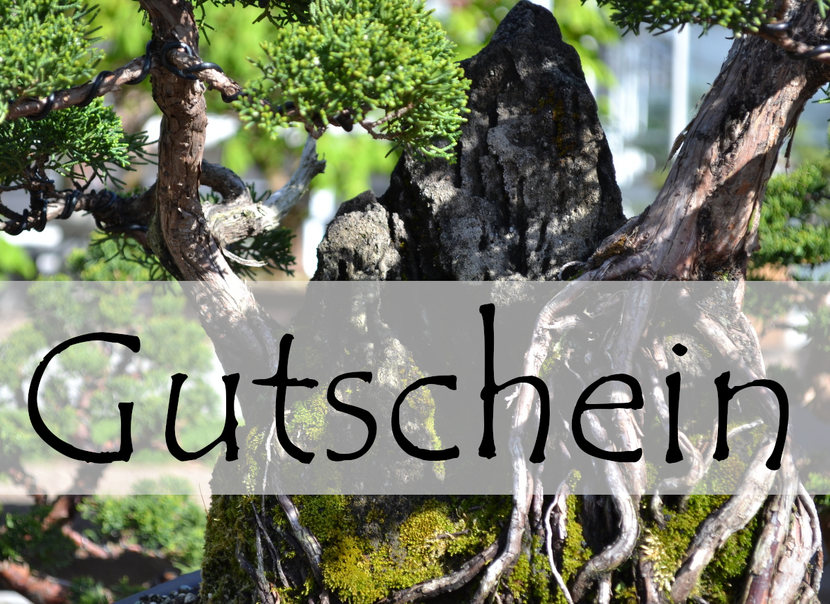 Geschenkgutschein A