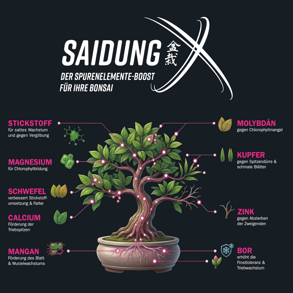Saidung X