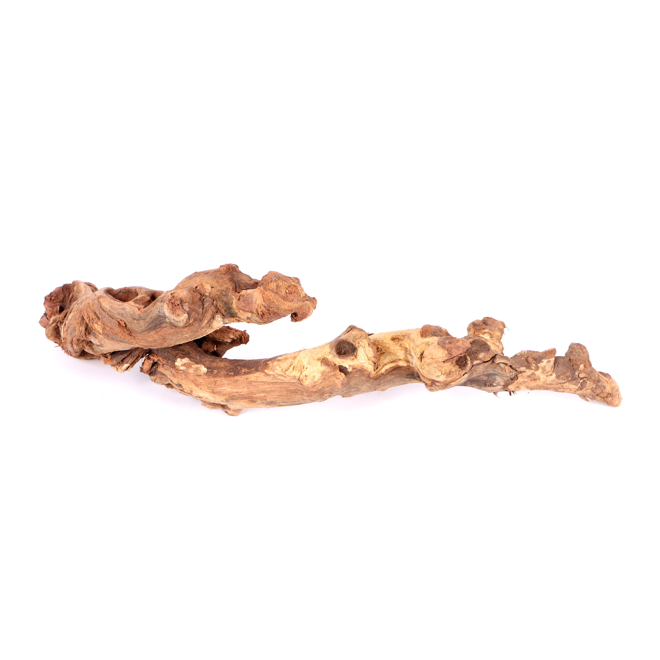 Tanuki-Holz