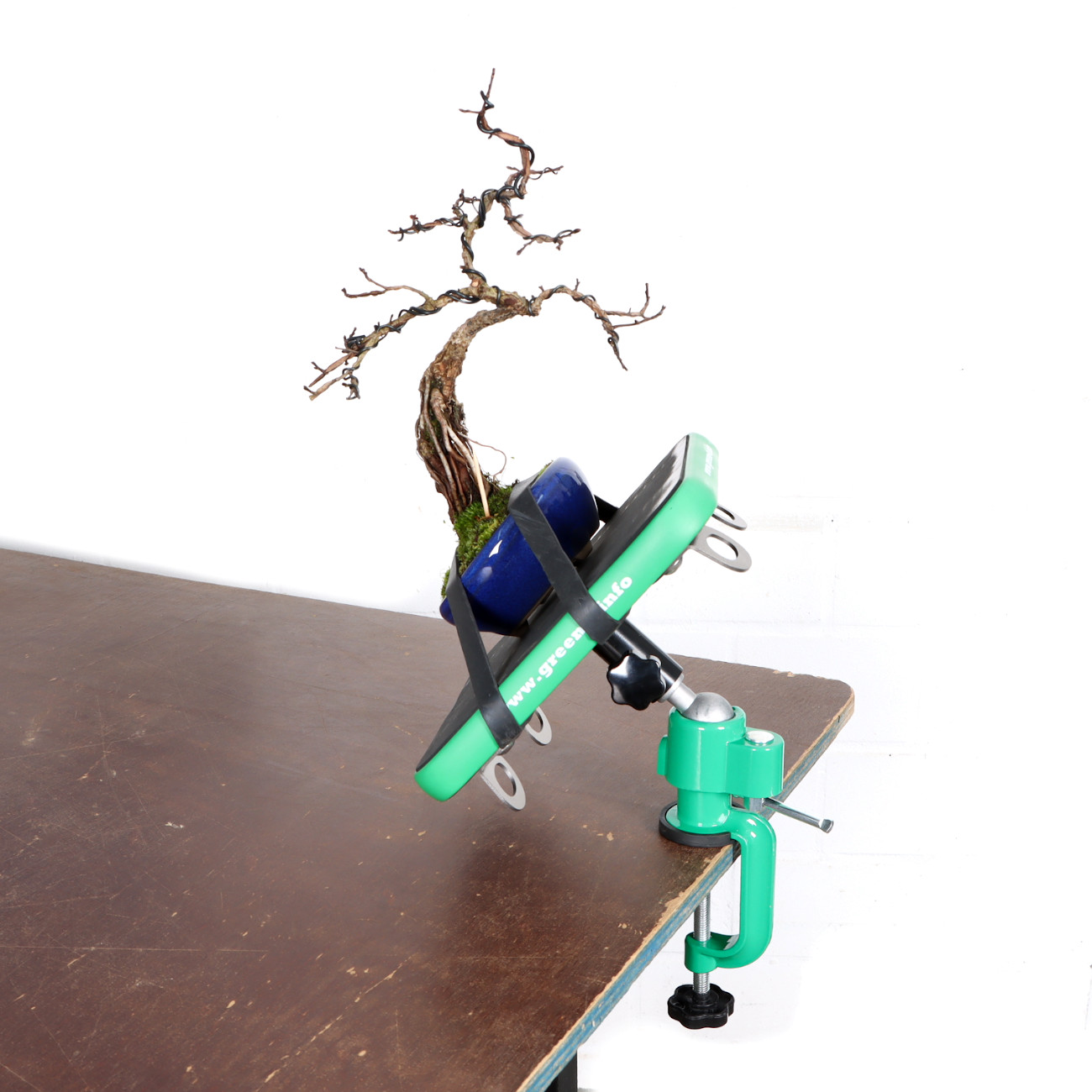 Bonsai-Arbeitstisch Green-T mini V