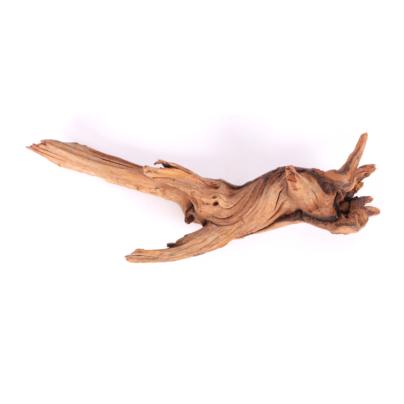 Tanuki-Holz