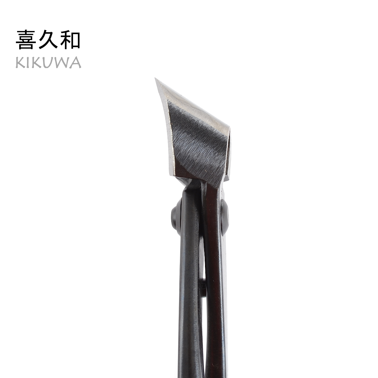 Kikuwa Konkavzange