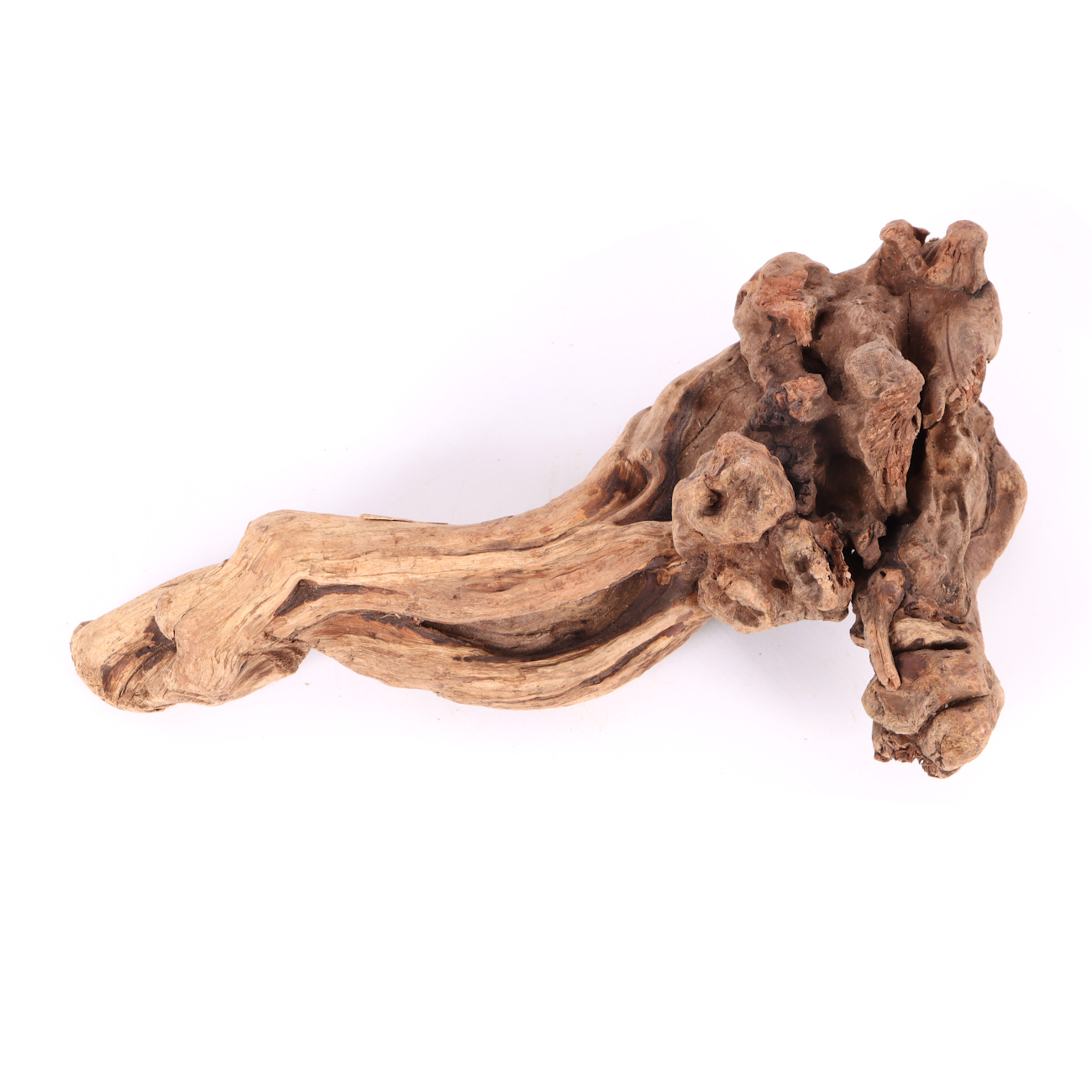Tanuki-Holz