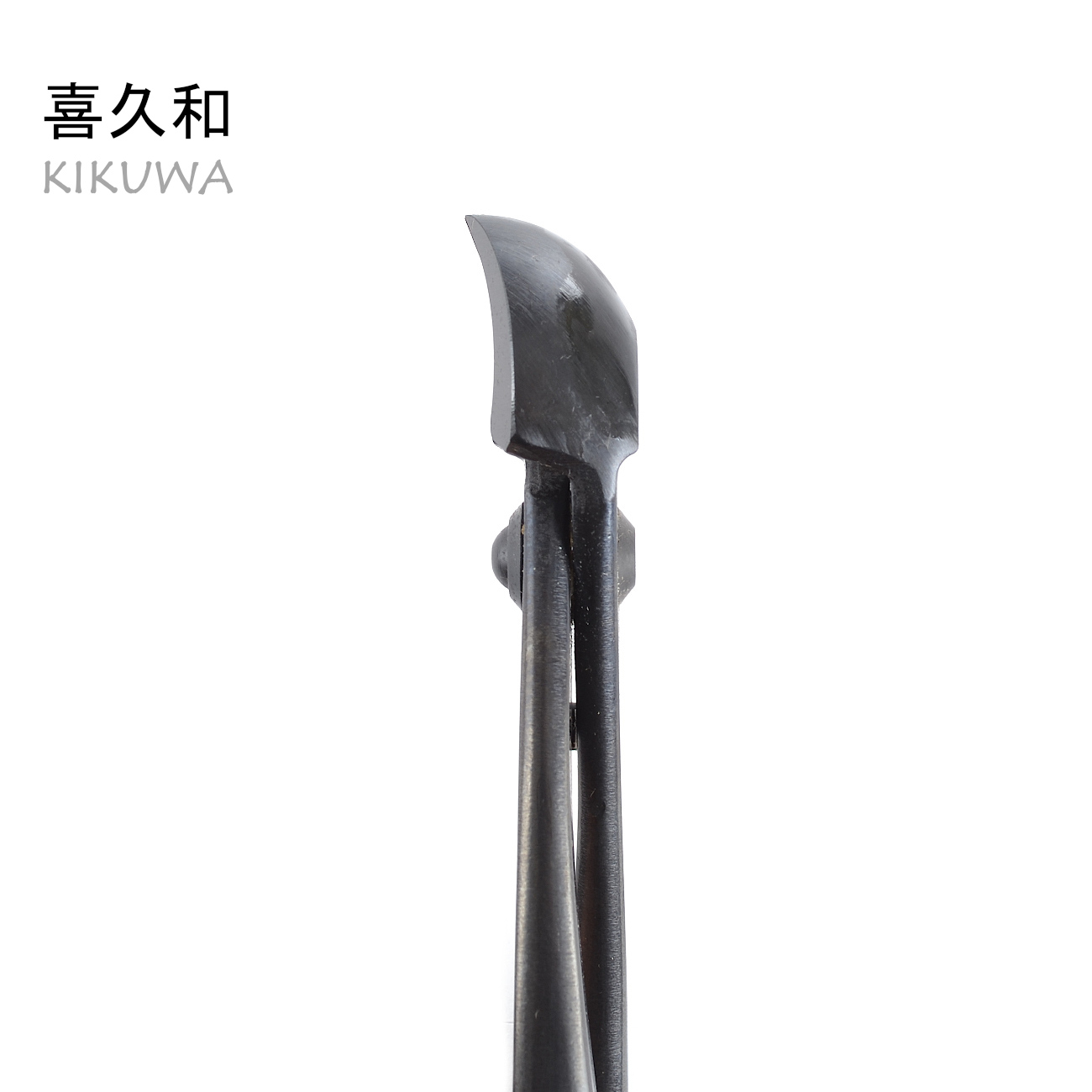 Kikuwa Konkavzange