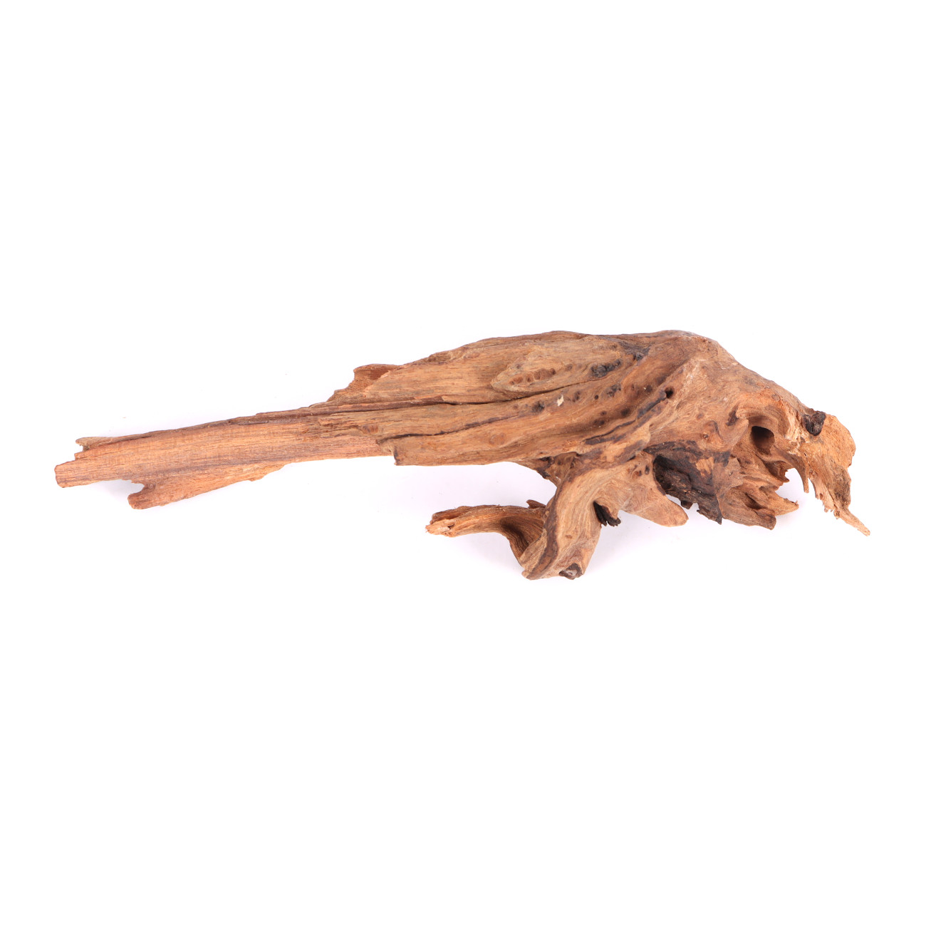 Tanuki-Holz