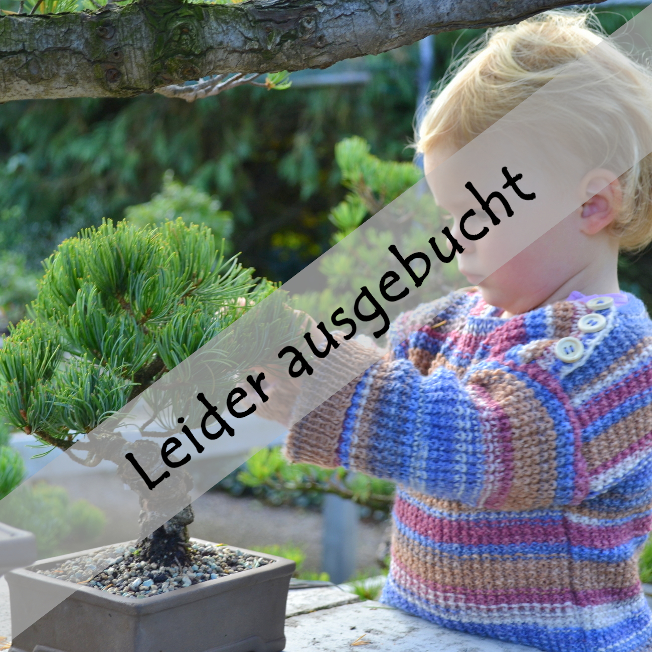 Anfängerkurs am 09.05.2026