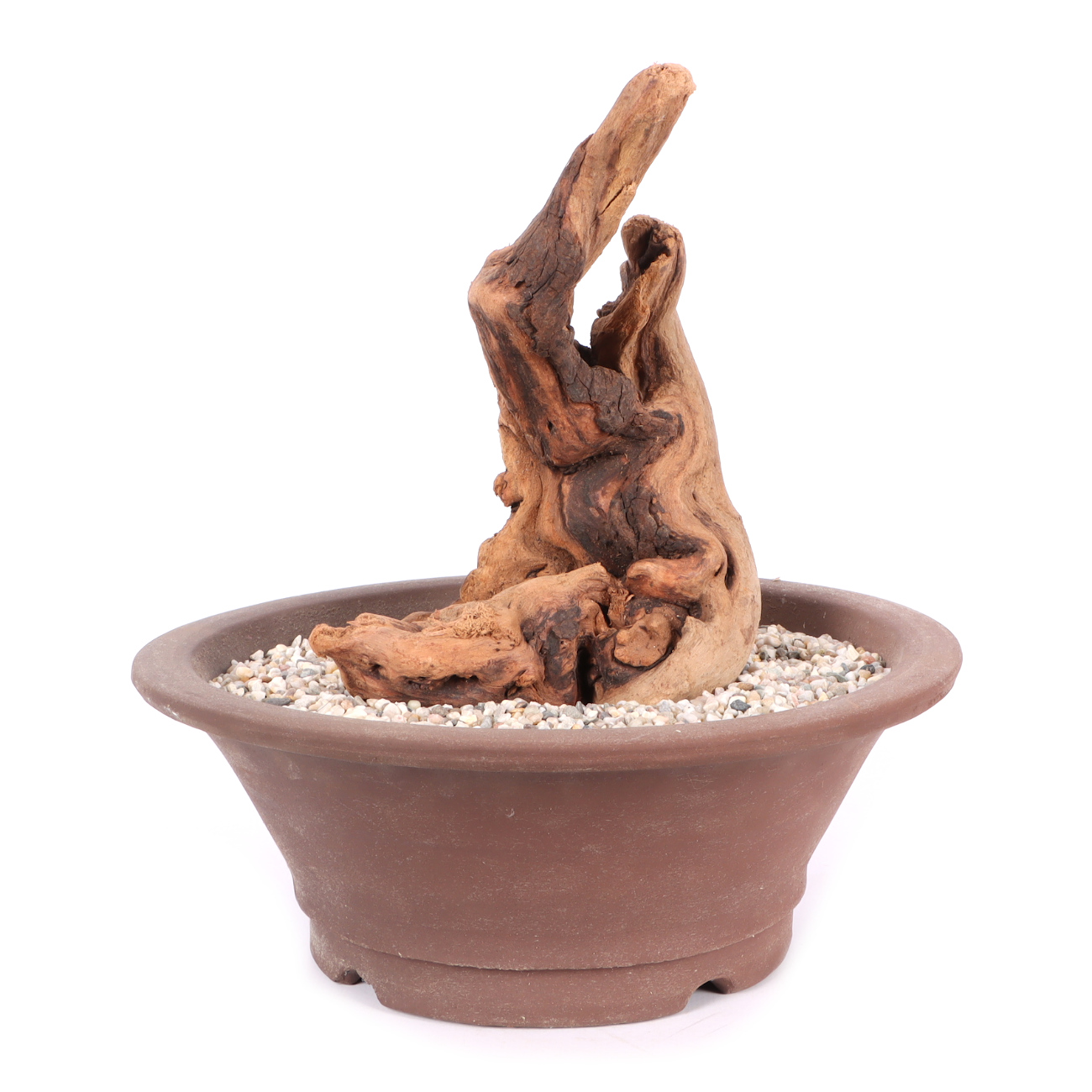 Tanuki-Holz