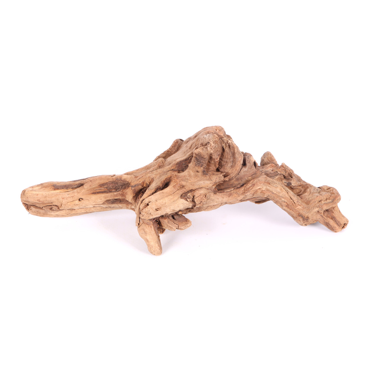 Tanuki-Holz