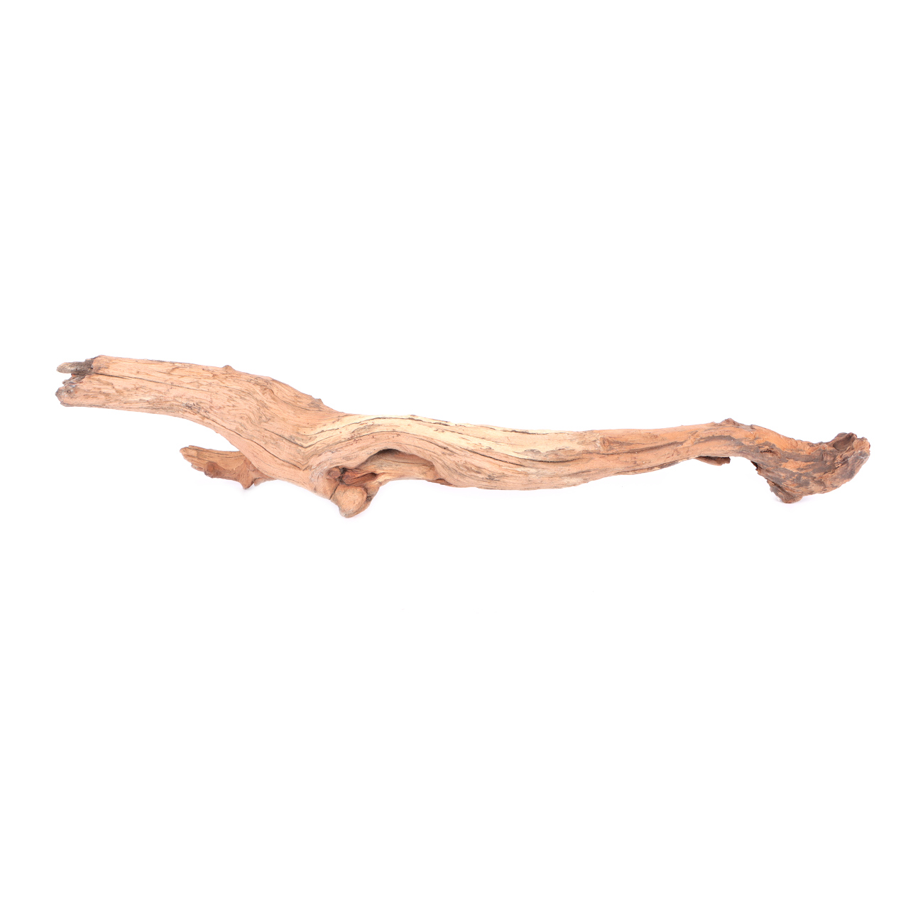 Tanuki-Holz