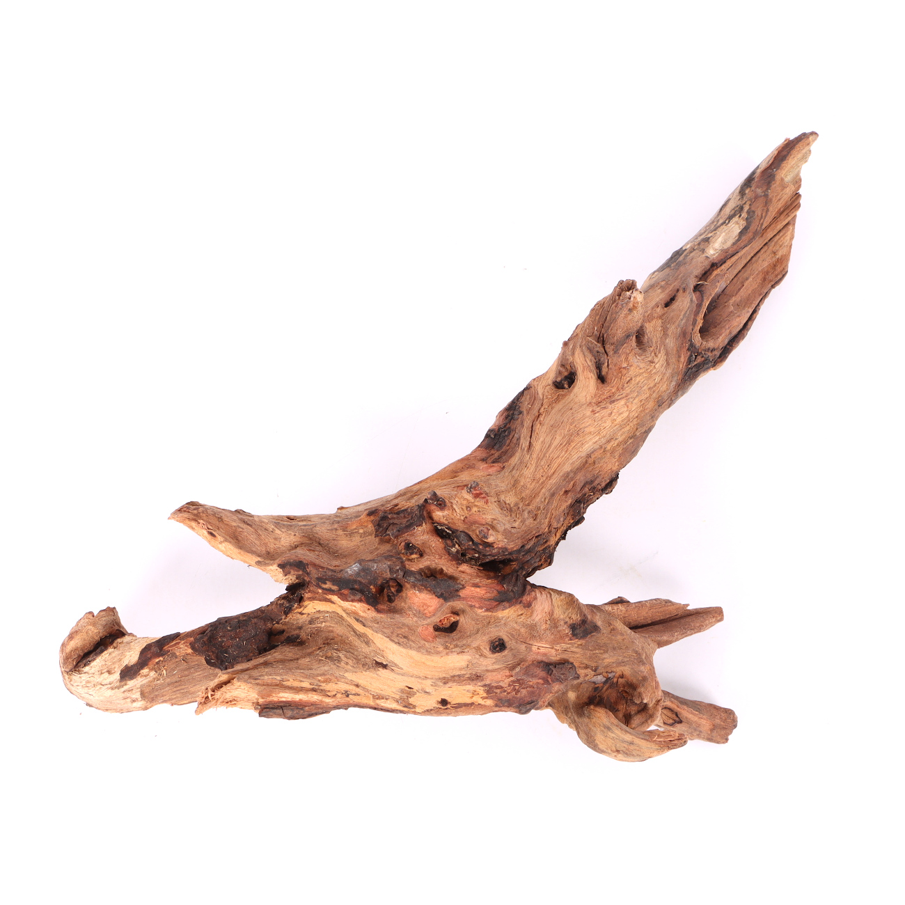 Tanuki-Holz